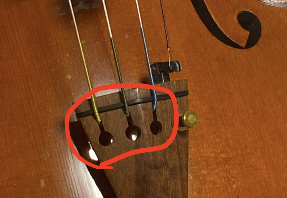 バイオリン弦の張替え方を初心者にわかりやすく解説ループエンドの付け方など画像付きで