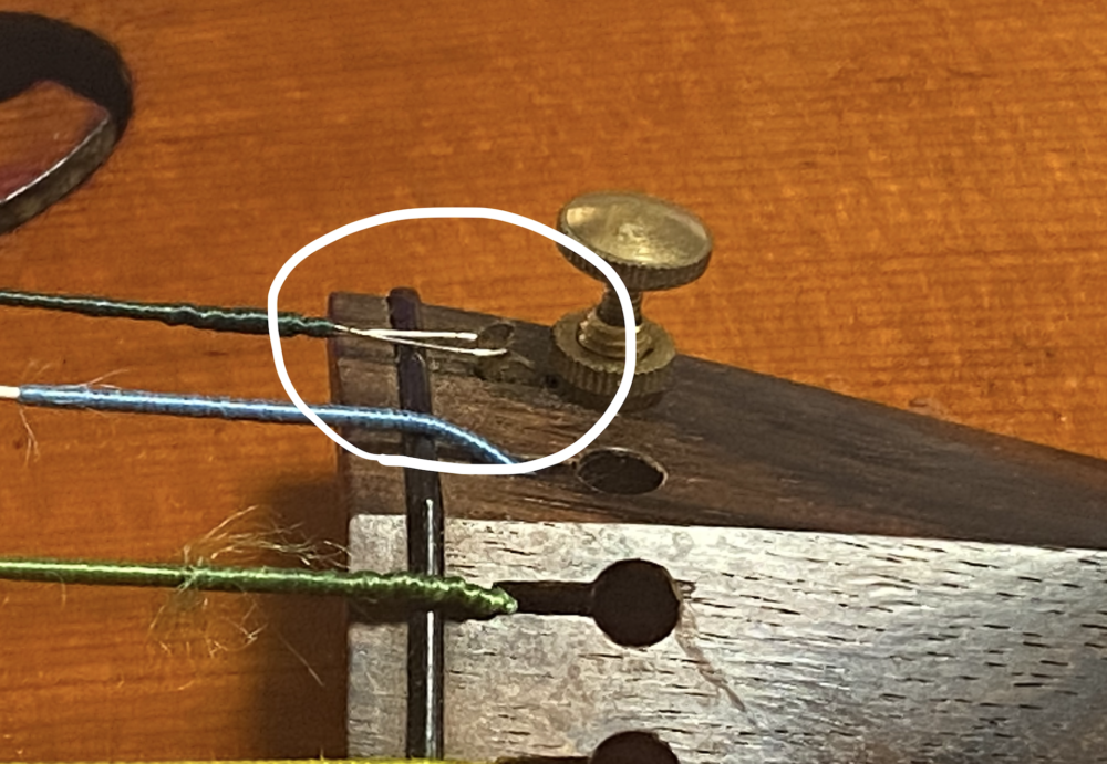 【徹底比較】バイオリン弦のおすすめ11選！歴22年の私が最適な弦の組み合わせも解説